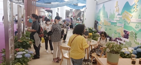 花博会-配图1 花博会-配图1