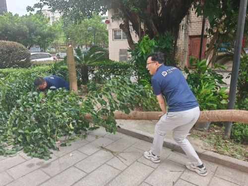 文章封面
